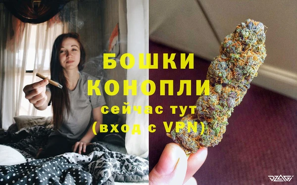 индика Балахна