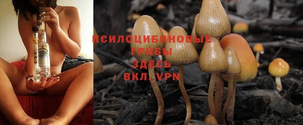 бутират Балабаново