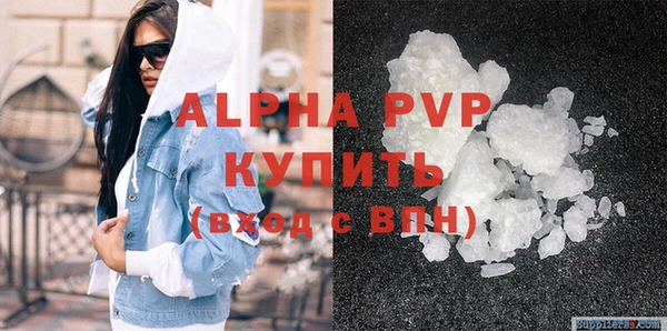индика Балахна