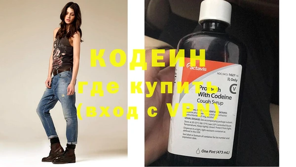 индика Балахна