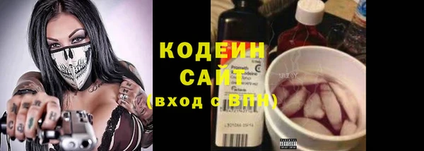 индика Балахна