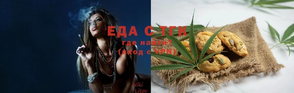индика Балахна