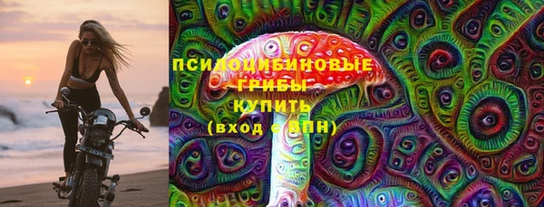 индика Балахна