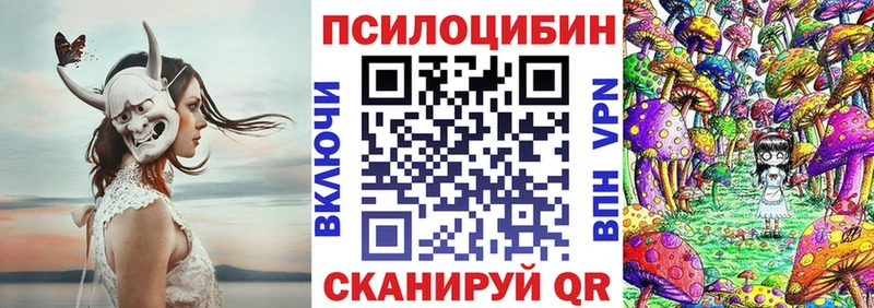 Псилоцибиновые грибы Cubensis  дарк нет какой сайт  Балашов  наркота 
