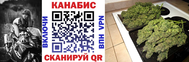 Шишки марихуана Amnesia  сколько стоит  Балашов 
